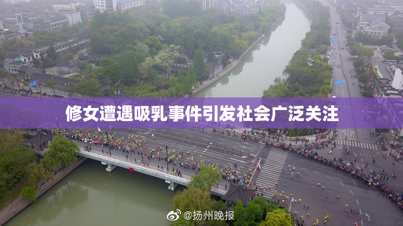 修女遭遇吸乳事件引发社会广泛关注