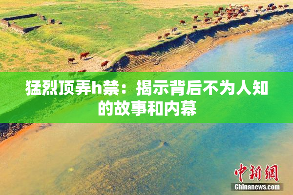 猛烈顶弄h禁：揭示背后不为人知的故事和内幕
