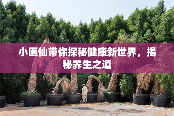 小医仙带你探秘健康新世界，揭秘养生之道