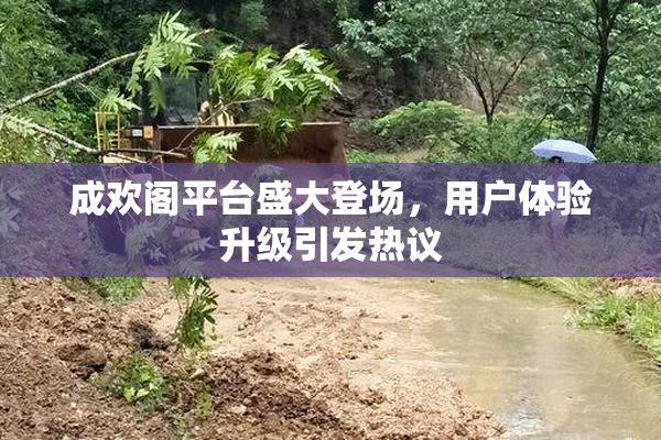 成欢阁平台盛大登场，用户体验升级引发热议