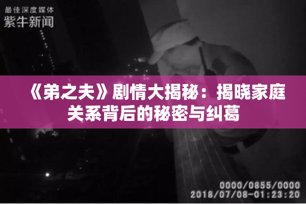《弟之夫》剧情大揭秘：揭晓家庭关系背后的秘密与纠葛