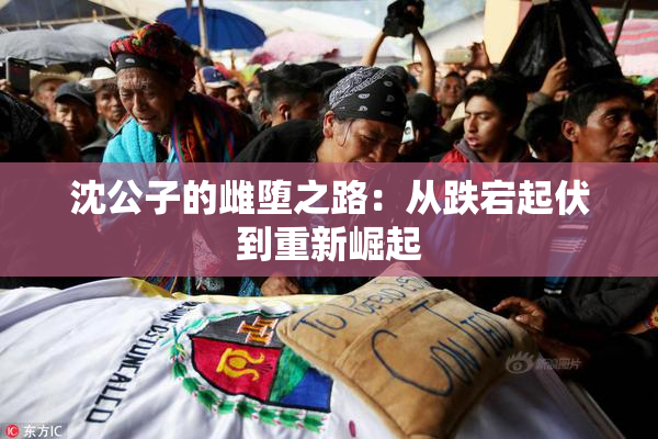 沈公子的雌堕之路：从跌宕起伏到重新崛起