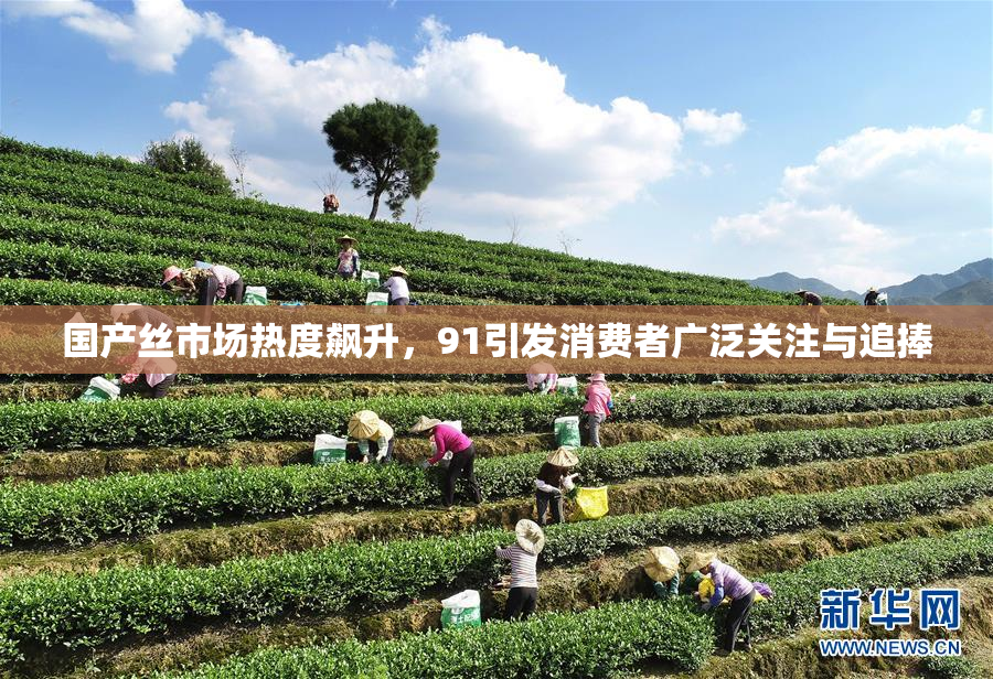 国产丝市场热度飙升，91引发消费者广泛关注与追捧