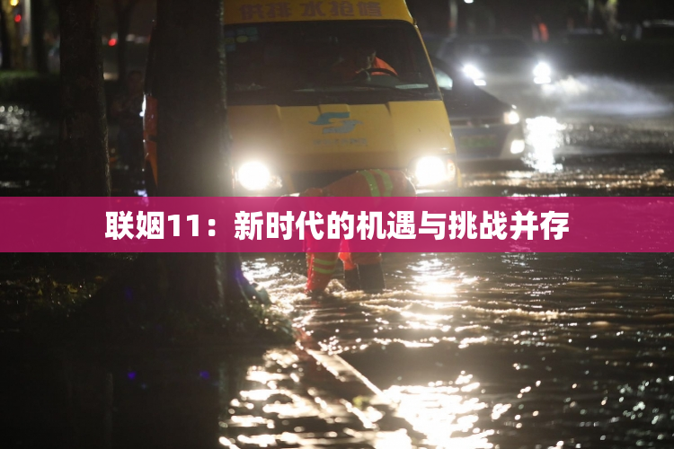 联姻11：新时代的机遇与挑战并存