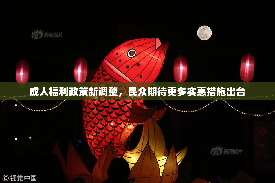 成人福利政策新调整，民众期待更多实惠措施出台