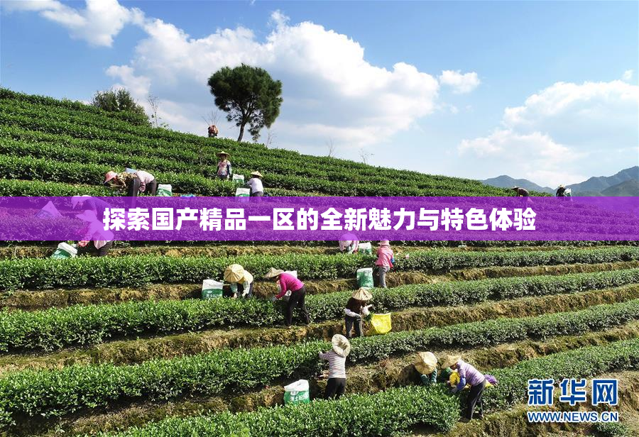 探索国产精品一区的全新魅力与特色体验