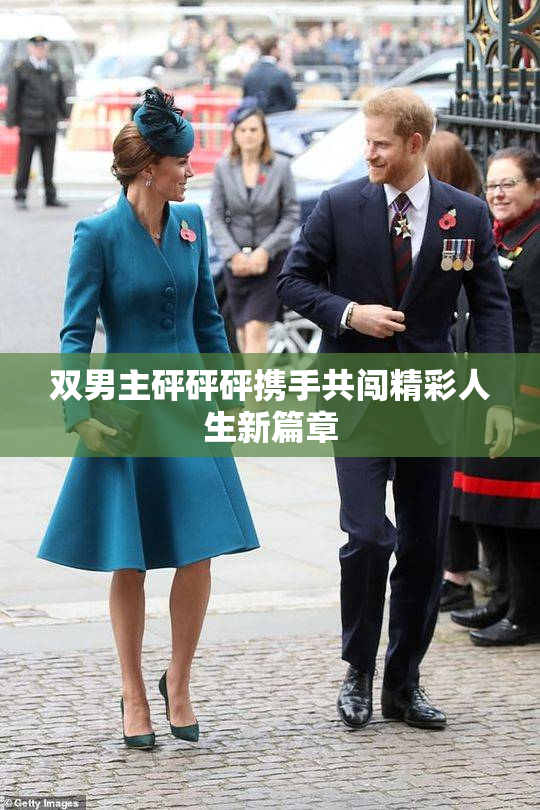 双男主砰砰砰携手共闯精彩人生新篇章