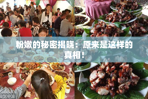 粉嫩的秘密揭晓：原来是这样的真相！