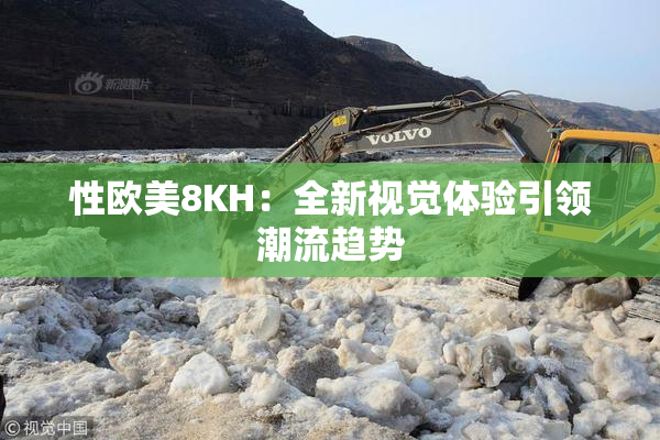 性欧美8KH：全新视觉体验引领潮流趋势