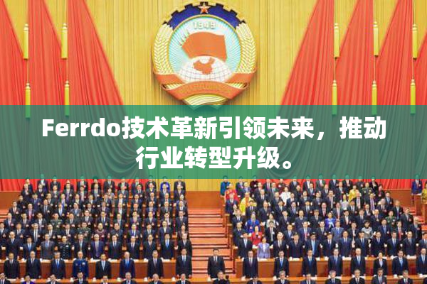 Ferrdo技术革新引领未来，推动行业转型升级。