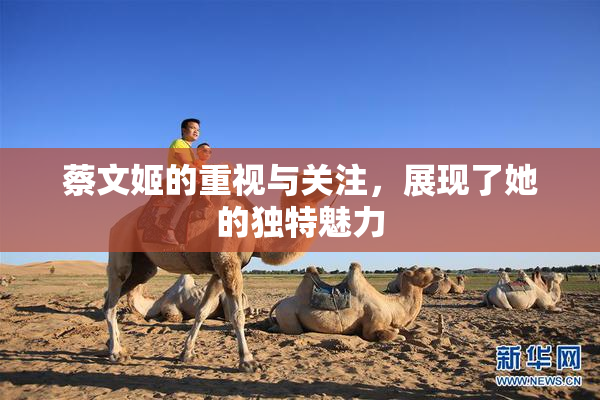蔡文姬的重视与关注，展现了她的独特魅力