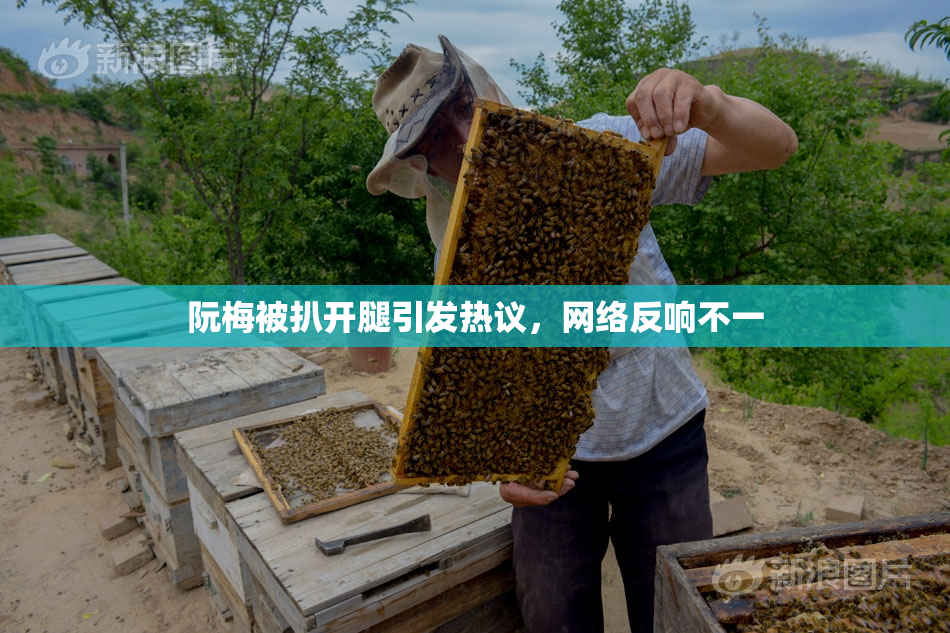 阮梅被扒开腿引发热议，网络反响不一