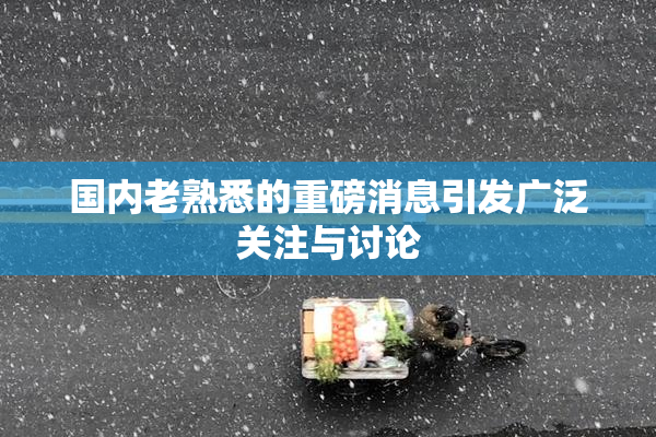 国内老熟悉的重磅消息引发广泛关注与讨论