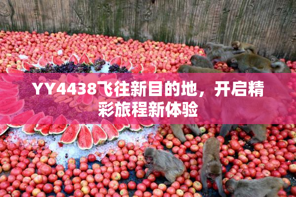YY4438飞往新目的地，开启精彩旅程新体验
