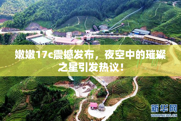 嫩嫩17c震撼发布，夜空中的璀璨之星引发热议！