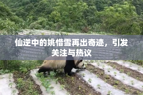 仙逆中的姚惜雪再出奇迹，引发关注与热议