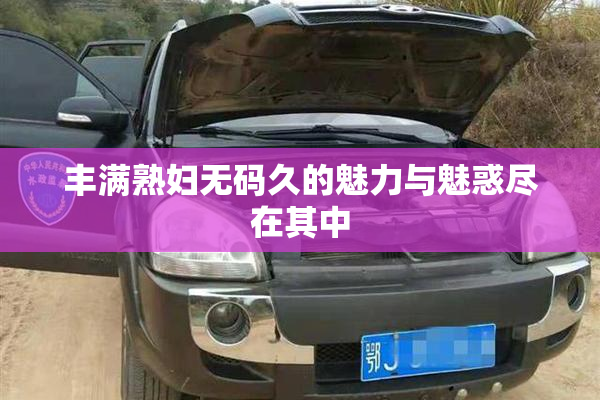 丰满熟妇无码久的魅力与魅惑尽在其中
