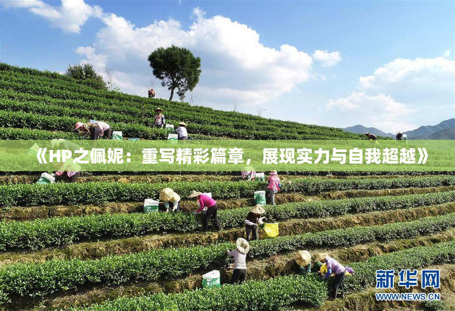 《HP之佩妮：重写精彩篇章，展现实力与自我超越》