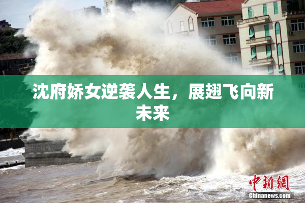 沈府娇女逆袭人生，展翅飞向新未来