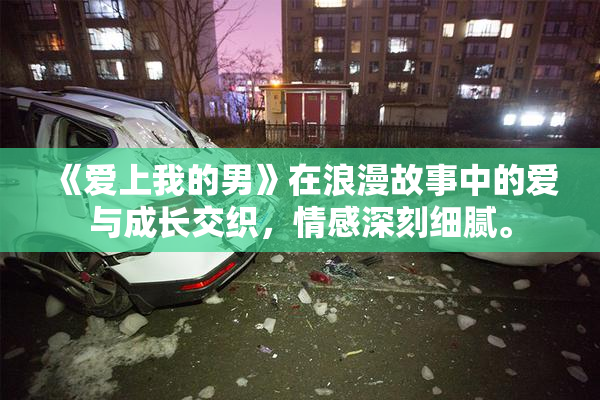 《爱上我的男》在浪漫故事中的爱与成长交织，情感深刻细腻。