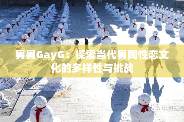男男GayG：探索当代男同性恋文化的多样性与挑战