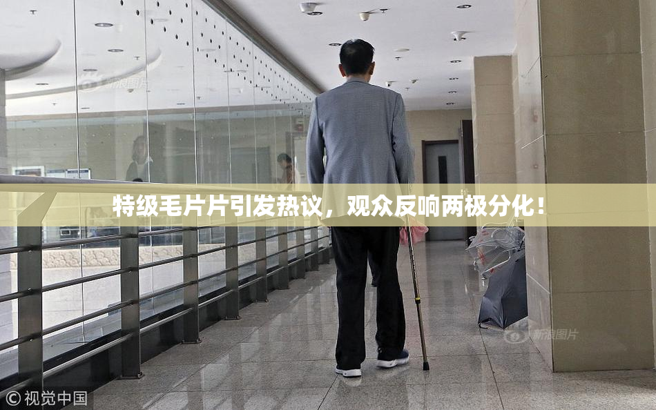 特级毛片片引发热议，观众反响两极分化！