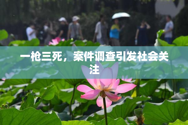 一枪三死，案件调查引发社会关注