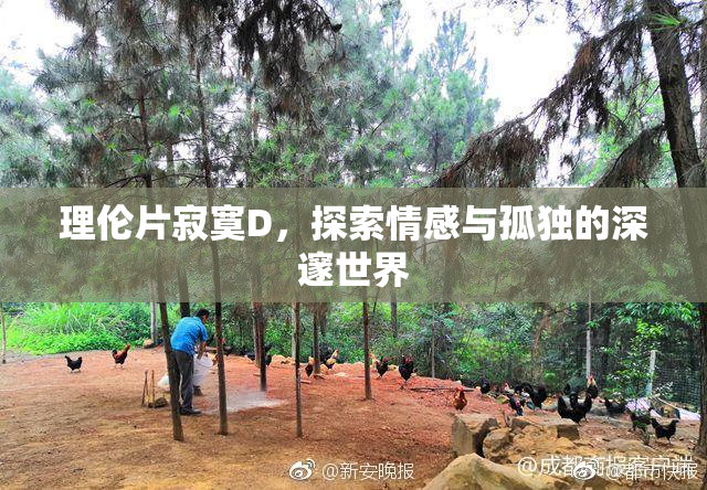 理伦片寂寞D，探索情感与孤独的深邃世界