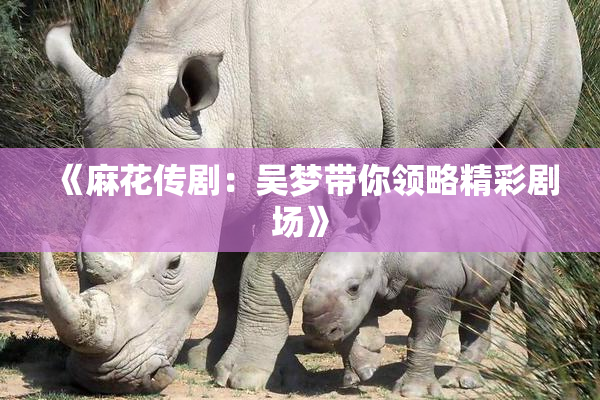《麻花传剧：吴梦带你领略精彩剧场》