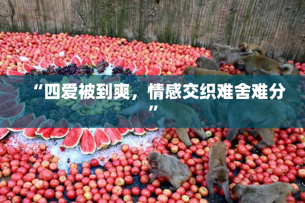 “四爱被到爽，情感交织难舍难分”