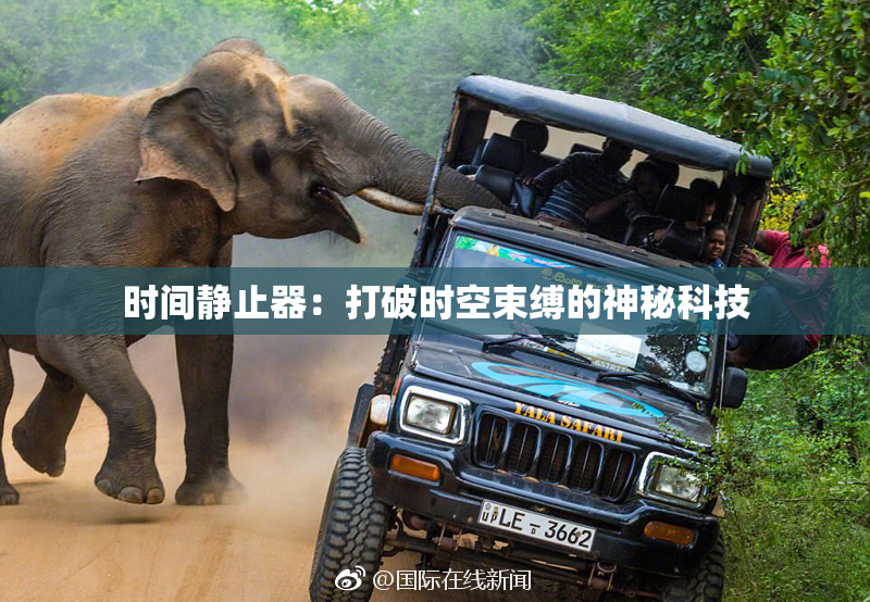 时间静止器：打破时空束缚的神秘科技