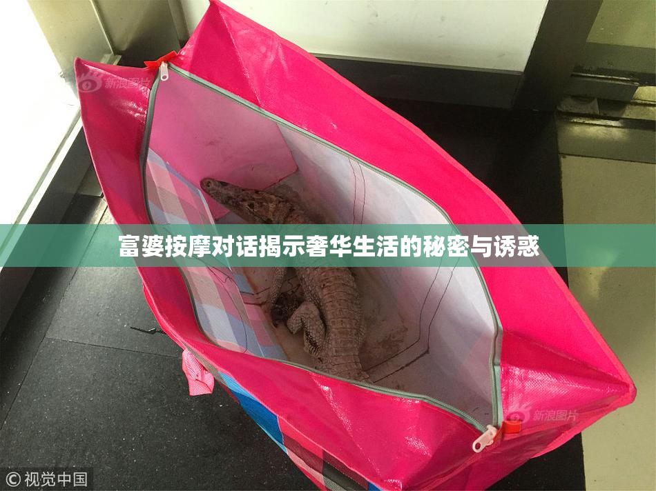 富婆按摩对话揭示奢华生活的秘密与诱惑