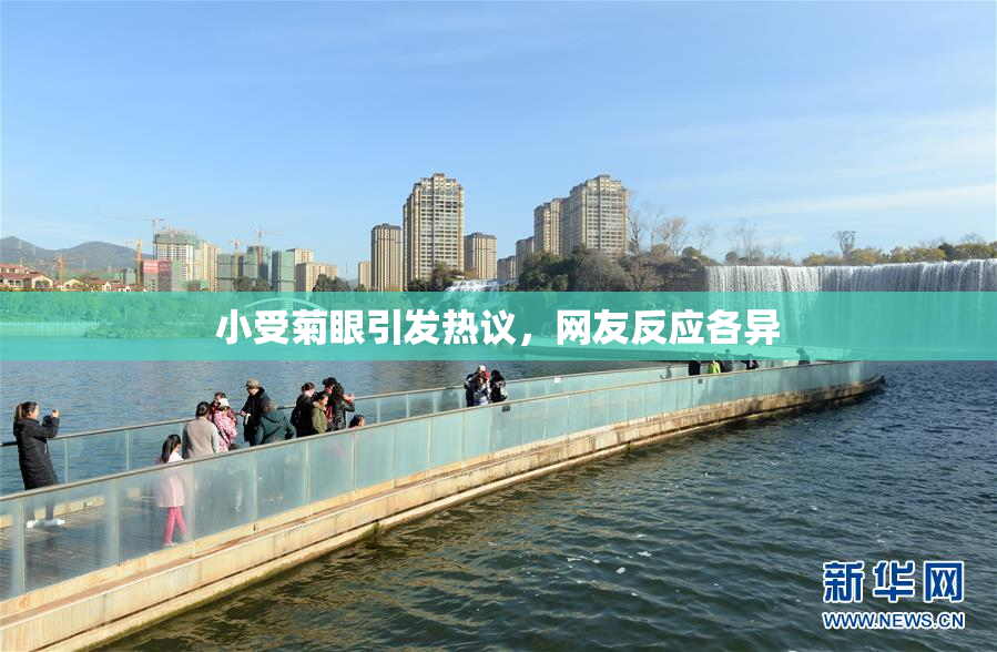 小受菊眼引发热议，网友反应各异