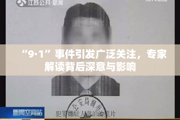 “9·1”事件引发广泛关注，专家解读背后深意与影响