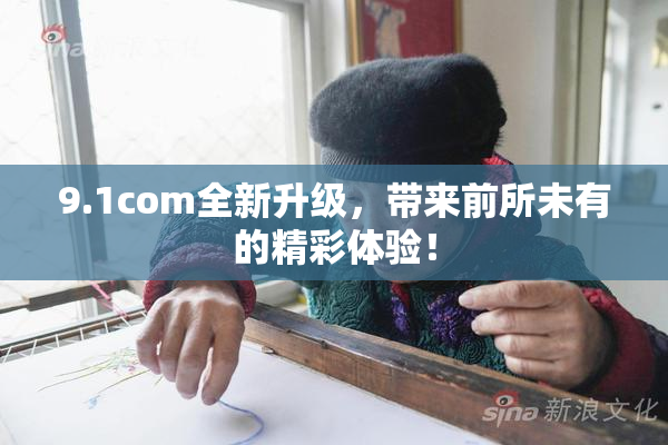 9.1com全新升级，带来前所未有的精彩体验！