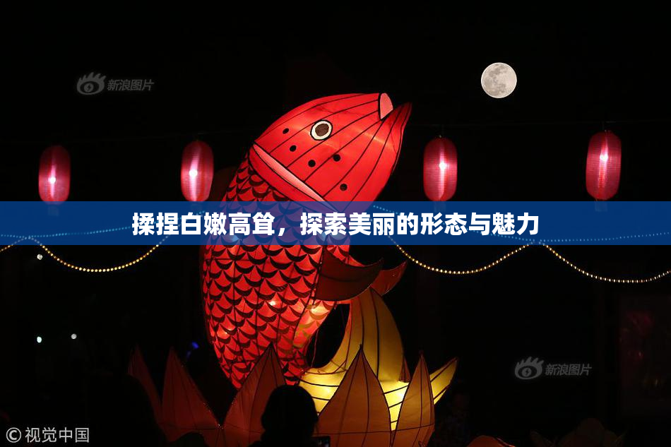 揉捏白嫩高耸，探索美丽的形态与魅力