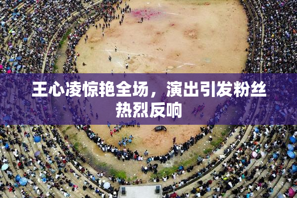 王心凌惊艳全场，演出引发粉丝热烈反响