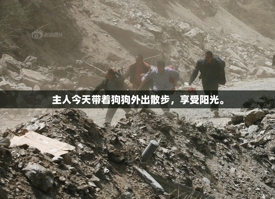 主人今天带着狗狗外出散步，享受阳光。
