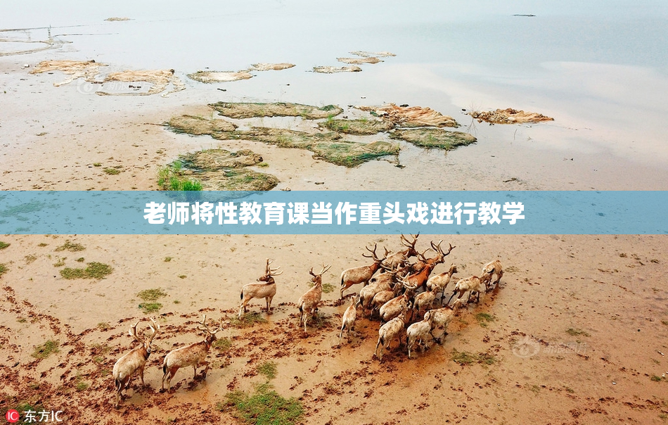 老师将性教育课当作重头戏进行教学