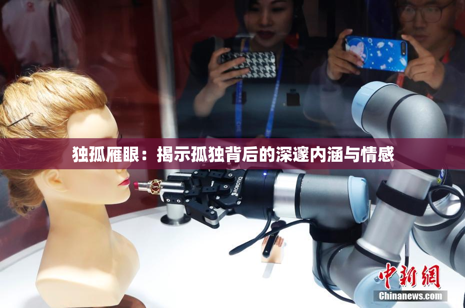 独孤雁眼：揭示孤独背后的深邃内涵与情感