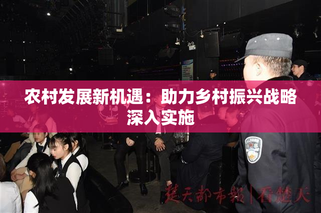 农村发展新机遇：助力乡村振兴战略深入实施
