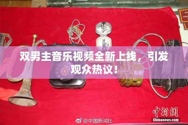 双男主音乐视频全新上线，引发观众热议！