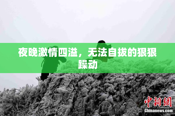 夜晚激情四溢，无法自拔的狠狠躁动
