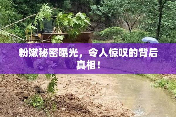 粉嫩秘密曝光，令人惊叹的背后真相！