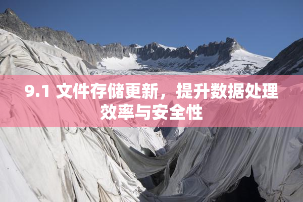 9.1 文件存储更新，提升数据处理效率与安全性