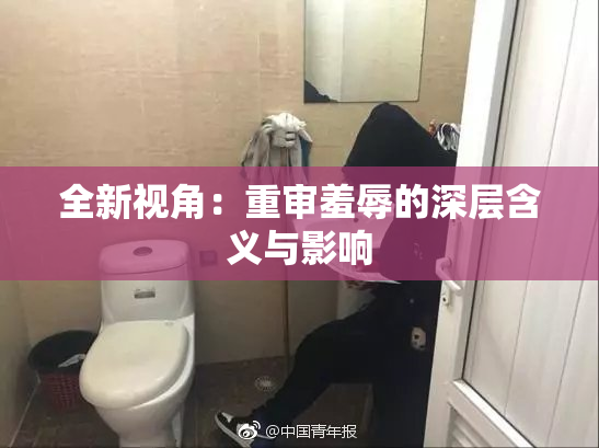 全新视角：重审羞辱的深层含义与影响