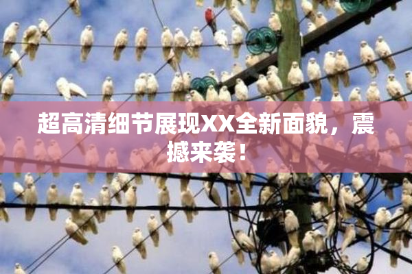 超高清细节展现XX全新面貌，震撼来袭！