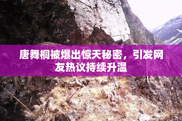 唐舞桐被爆出惊天秘密，引发网友热议持续升温