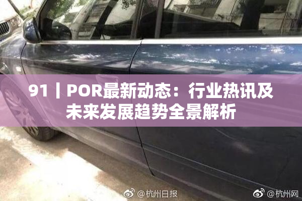 91丨POR最新动态：行业热讯及未来发展趋势全景解析