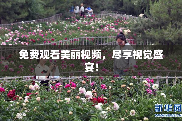 免费观看美丽视频，尽享视觉盛宴！